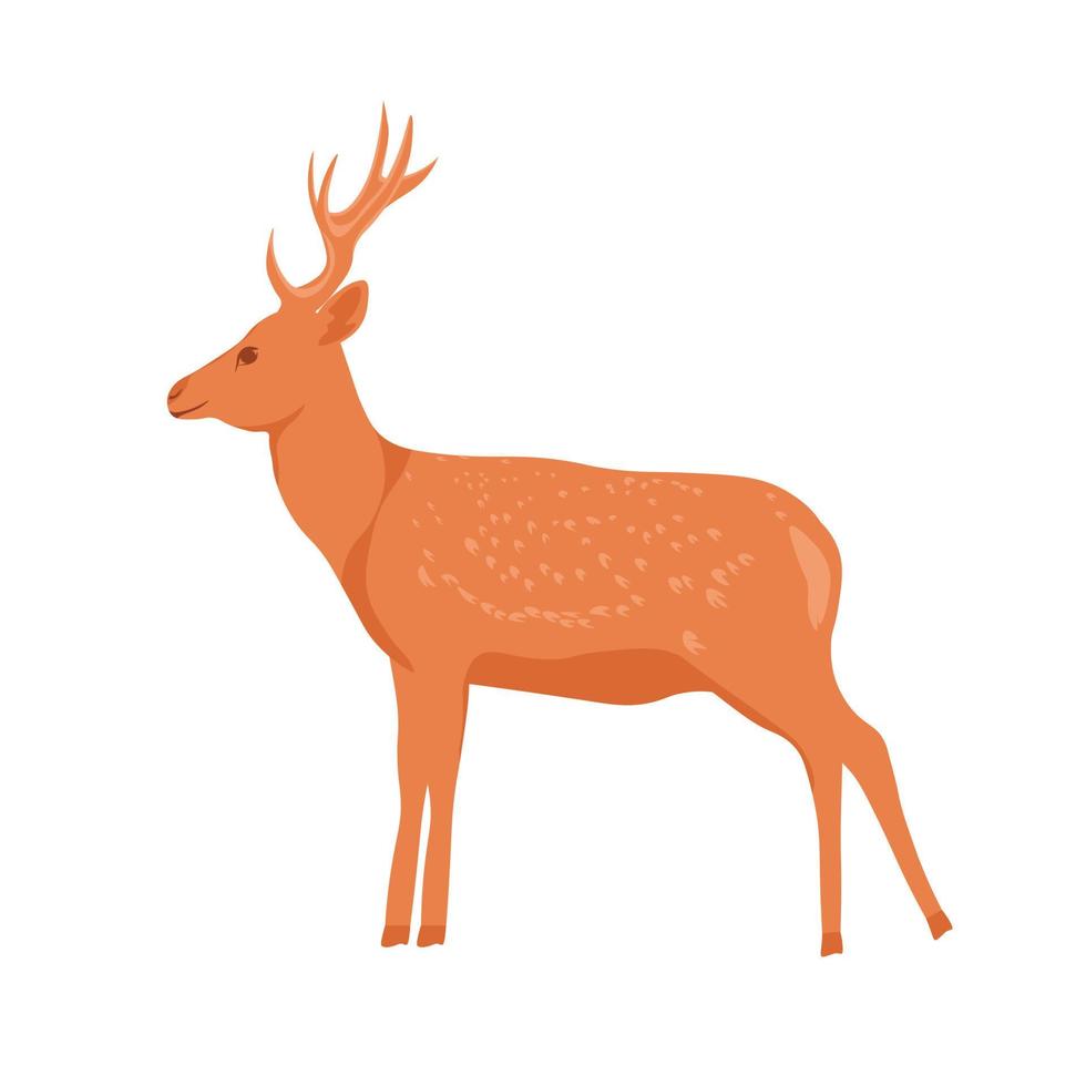 cervo maculato con le corna. illustrazione di riserva di vettore. animali mammiferi. Isolato su uno sfondo bianco. vettore