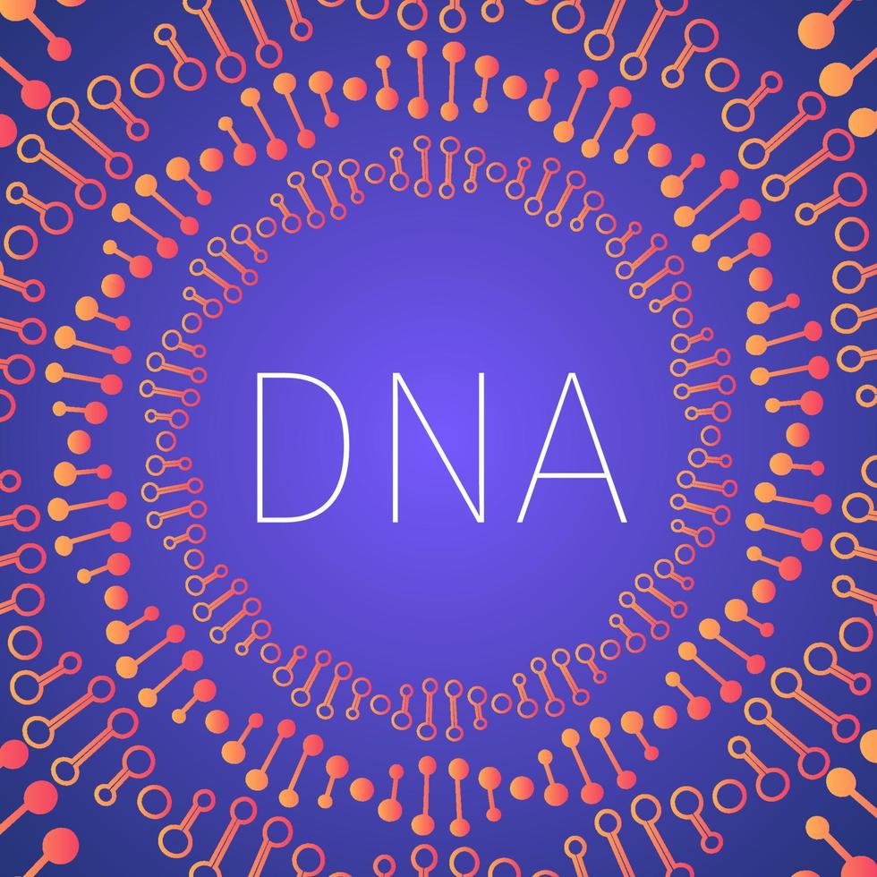 elica al neon della molecola del dna umano. concetto di scienza astratto sfondo vettoriale. poster di tipografia del dna. modello facile da modificare per banner, volantini, brochure, ecc. vettore