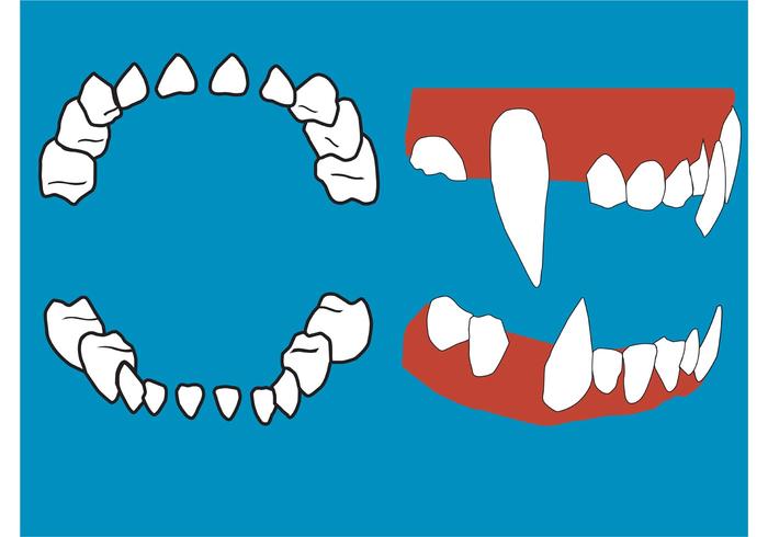 Denti e gengive vettoriali