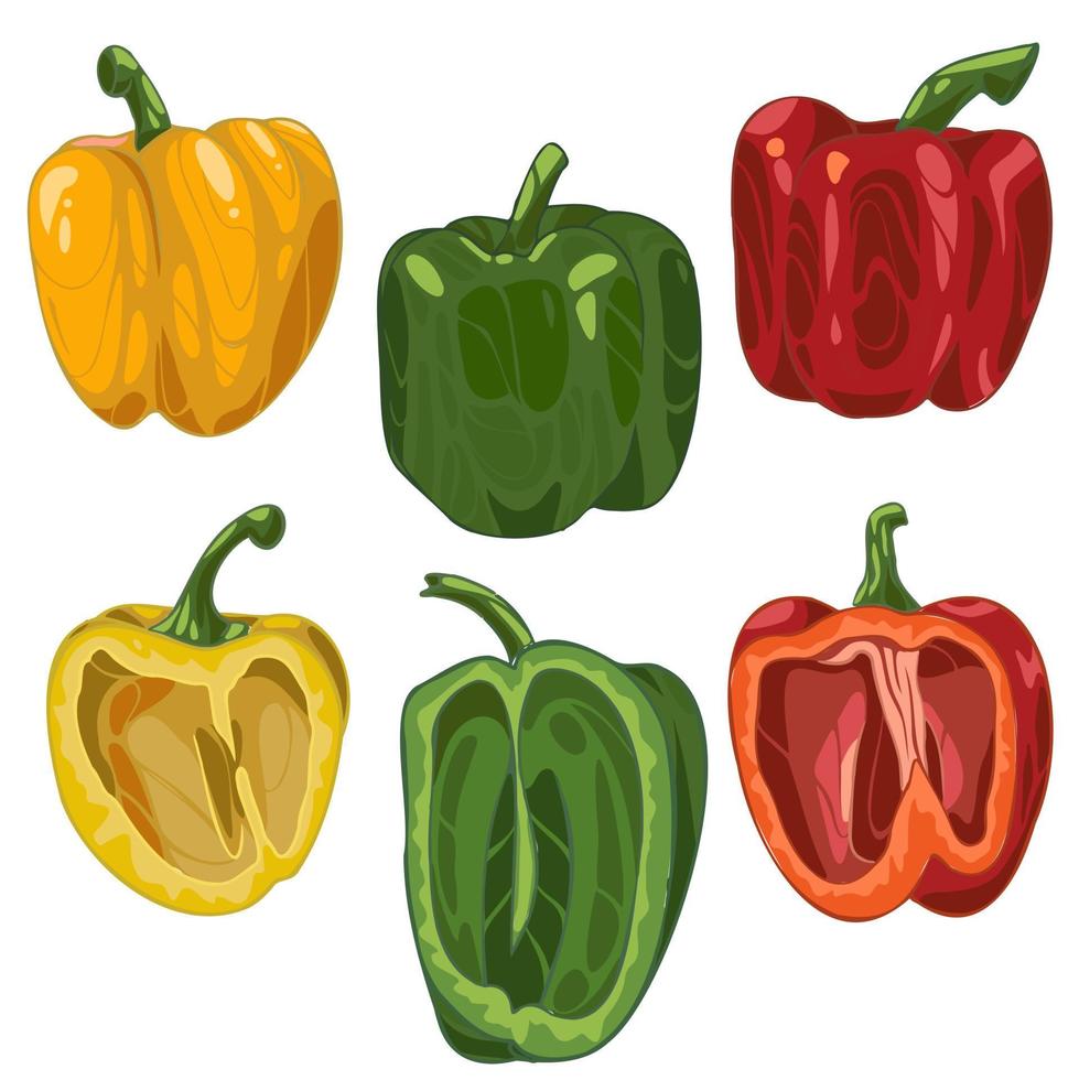 set di peperoni disegnati a mano, verde, rosso, giallo. colore diverso vettore