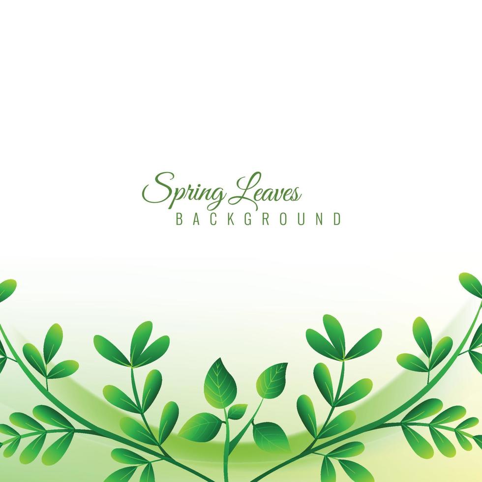 sfondo di foglie verdi di primavera moderna vettore