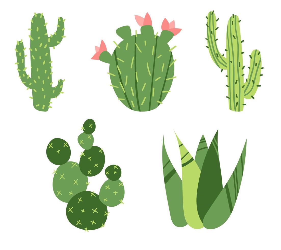 illustrazione del verde della pianta succulenta del cactus. set da disegno spinoso spinoso vettore