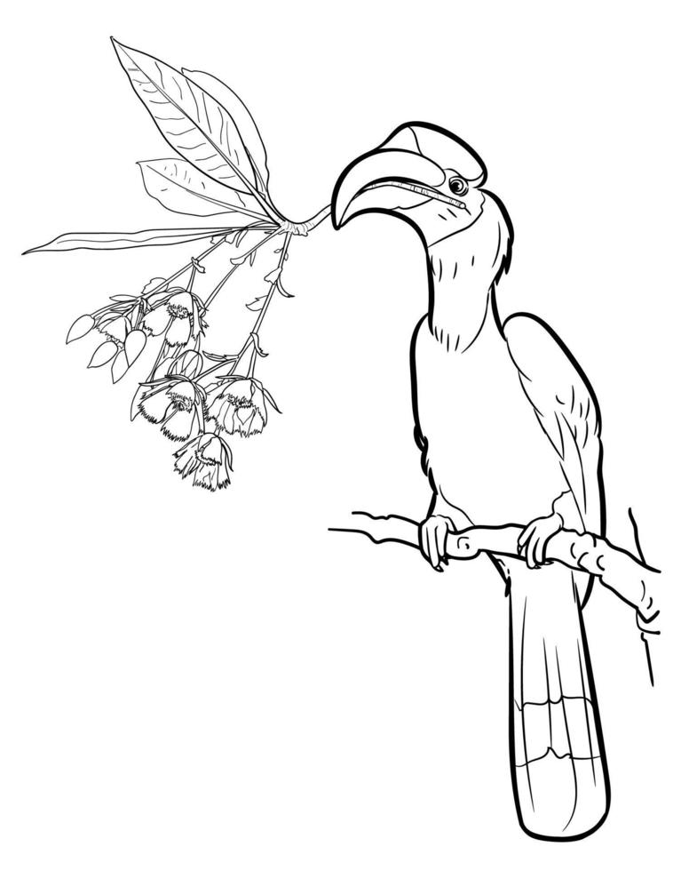 grande uccello bucero tenere fata sottoveste fiore vettore