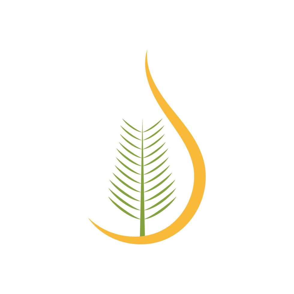 design piatto di vettore del logo dell'olio di palma