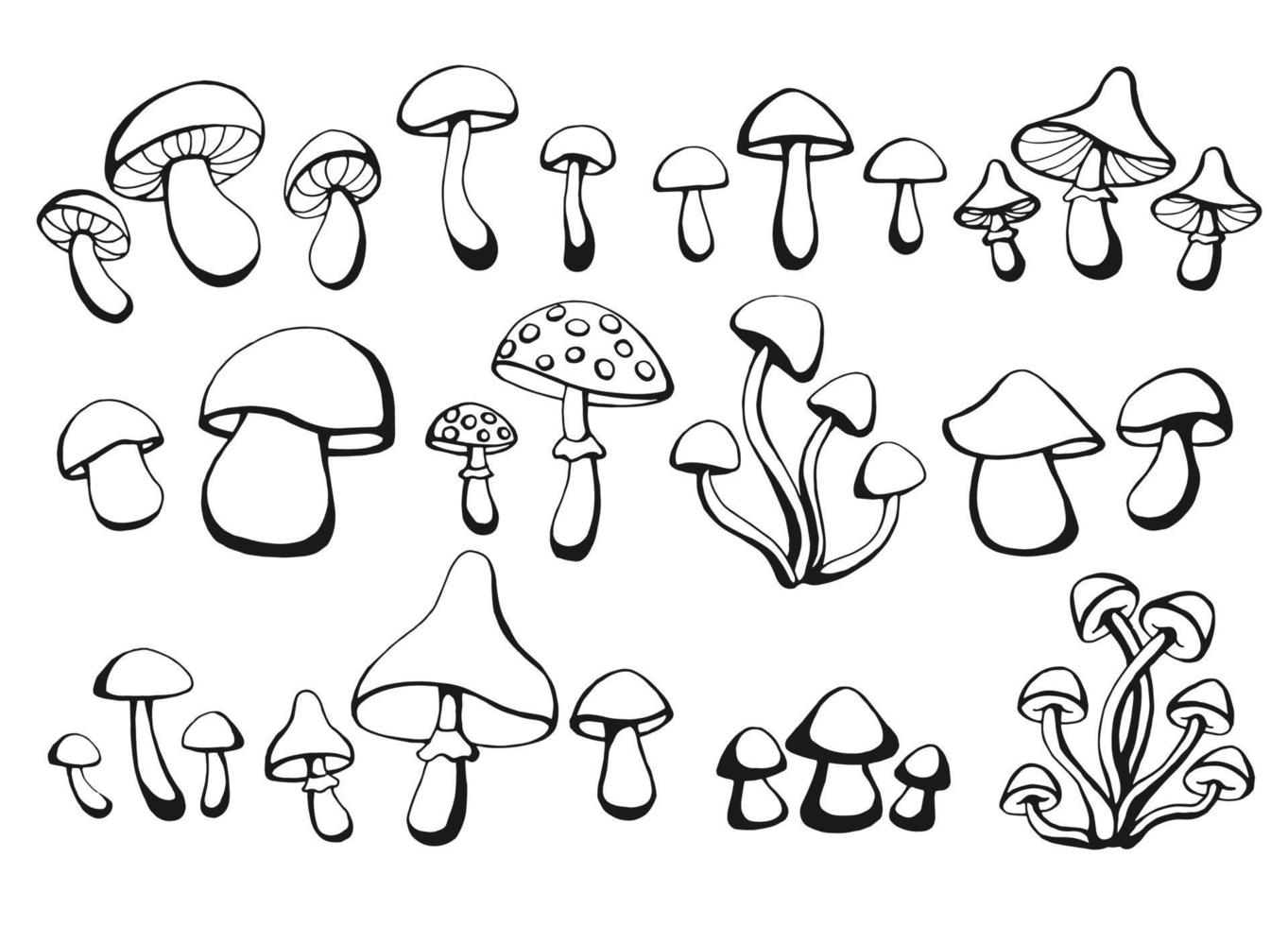 insieme disegnato a mano di funghi. disegno schematico. illustrazione vettoriale. bianco e nero. vettore