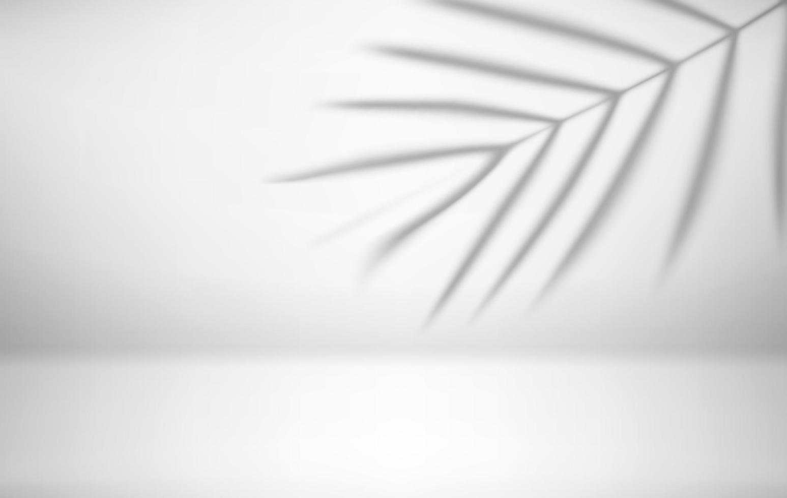 interni luminosi con ombra di foglie di palma sul muro. illustrazione vettoriale 3d