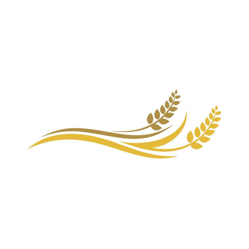 logo dell'agricoltura del riso del grano, chicco di grano, nutrizione del grano, vettore di ispirazione del logo dell'agricoltura del riso del grano
