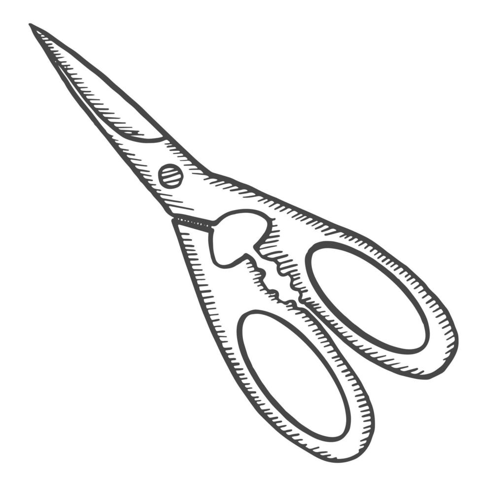 forbici da cucina coltello isolato doodle schizzo disegnato a mano con stile contorno vettore