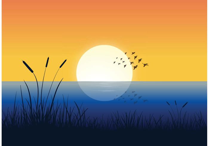 Free Flock Of Birds Sopra Water Vector