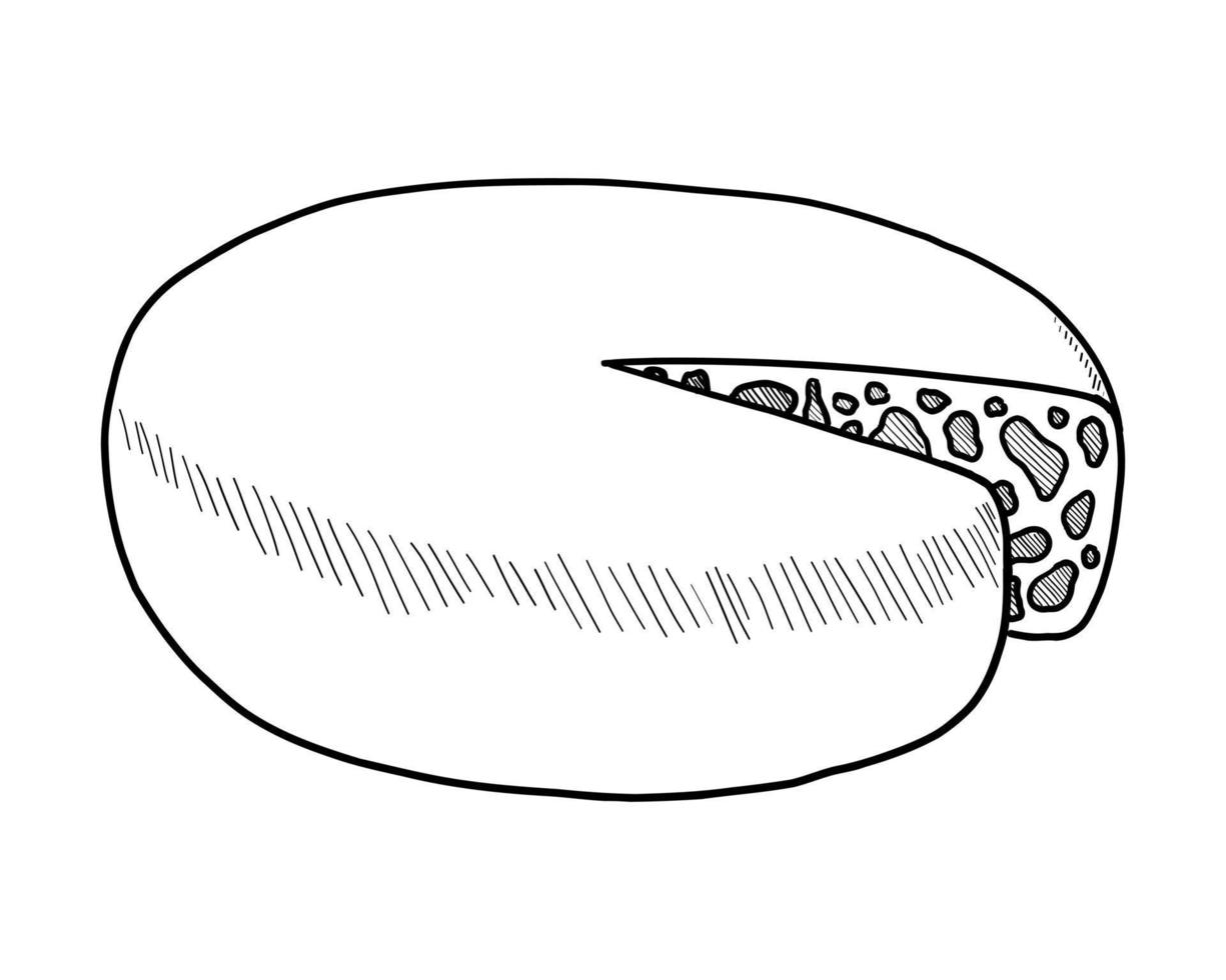 disegno di contorno vettoriale di una testa di formaggio su sfondo bianco