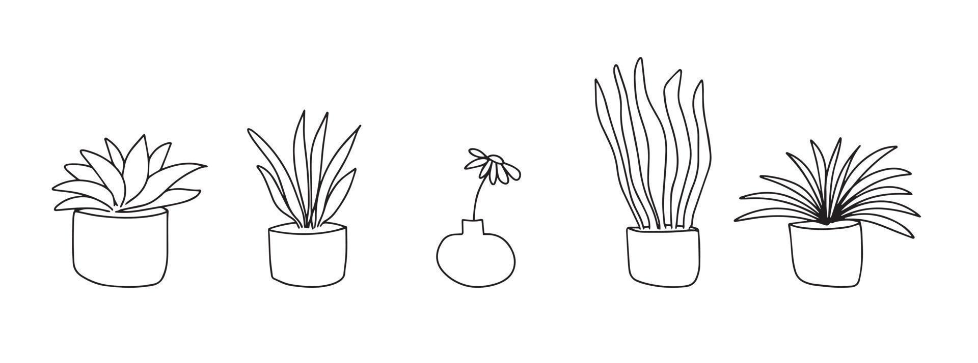 set di fiori per la casa. i fiori in vaso sono disegnati con una linea nera su sfondo bianco. linee di disegno vettoriale