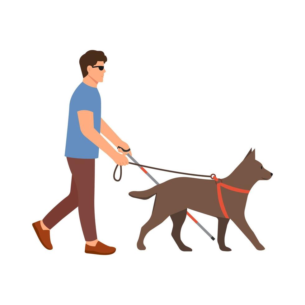 cieco con bastone e cane guida.maschio disabile con cecità.camminando con cane che vede l'occhio. illustrazione vettoriale isolato su sfondo bianco.