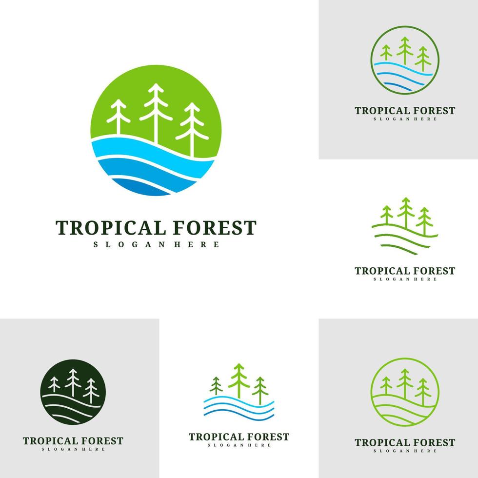 set di modello vettoriale di progettazione del logo dell'albero di pino, illustrazione di concetti del logo della foresta tropicale.