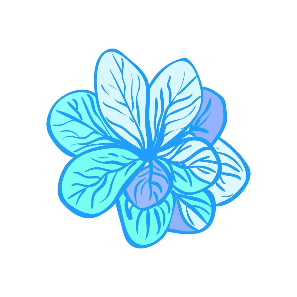 vettore illustrazione colorata di fiore blu isolato su sfondo bianco