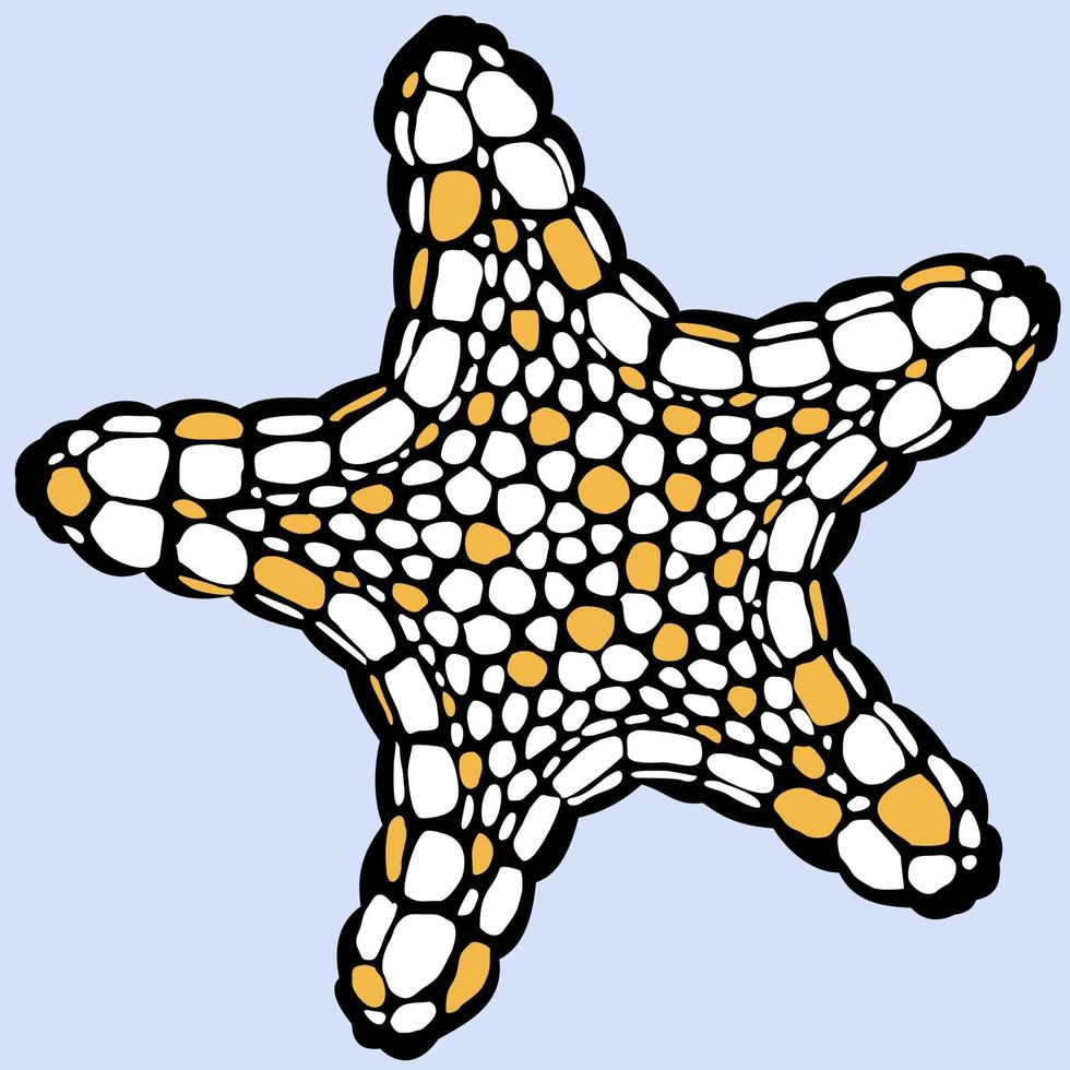 stella marina. bicromia. nero e arancio chiaro. vettore