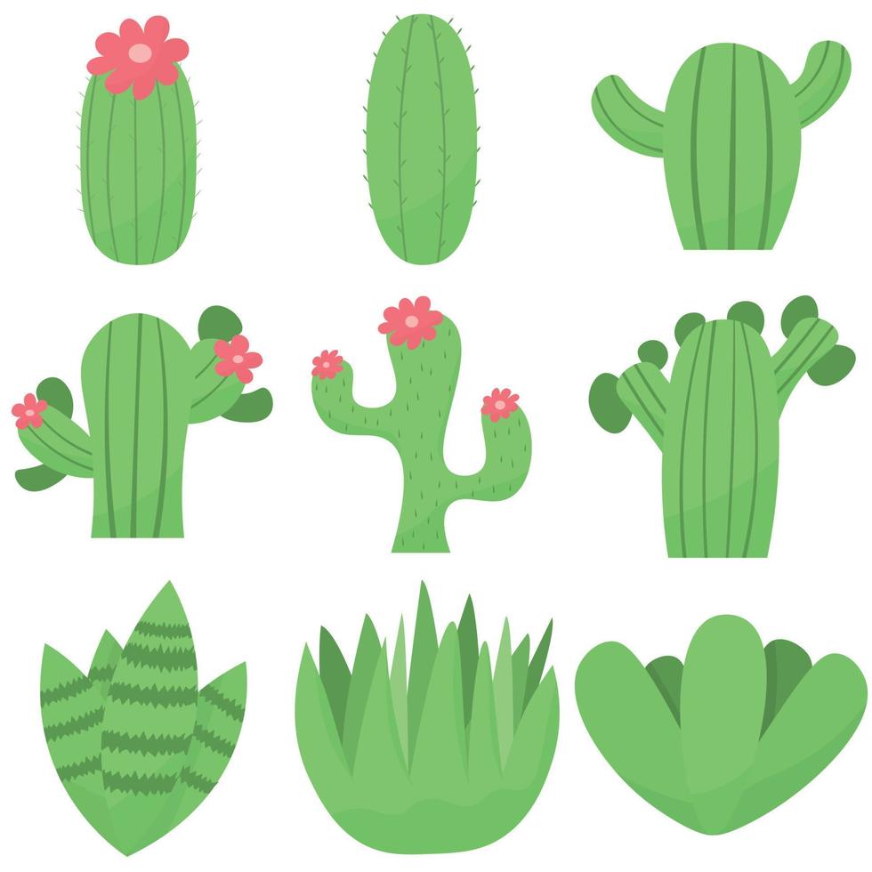 set di simpatici cactus o succulenti, illustrazione vettoriale in stile piatto