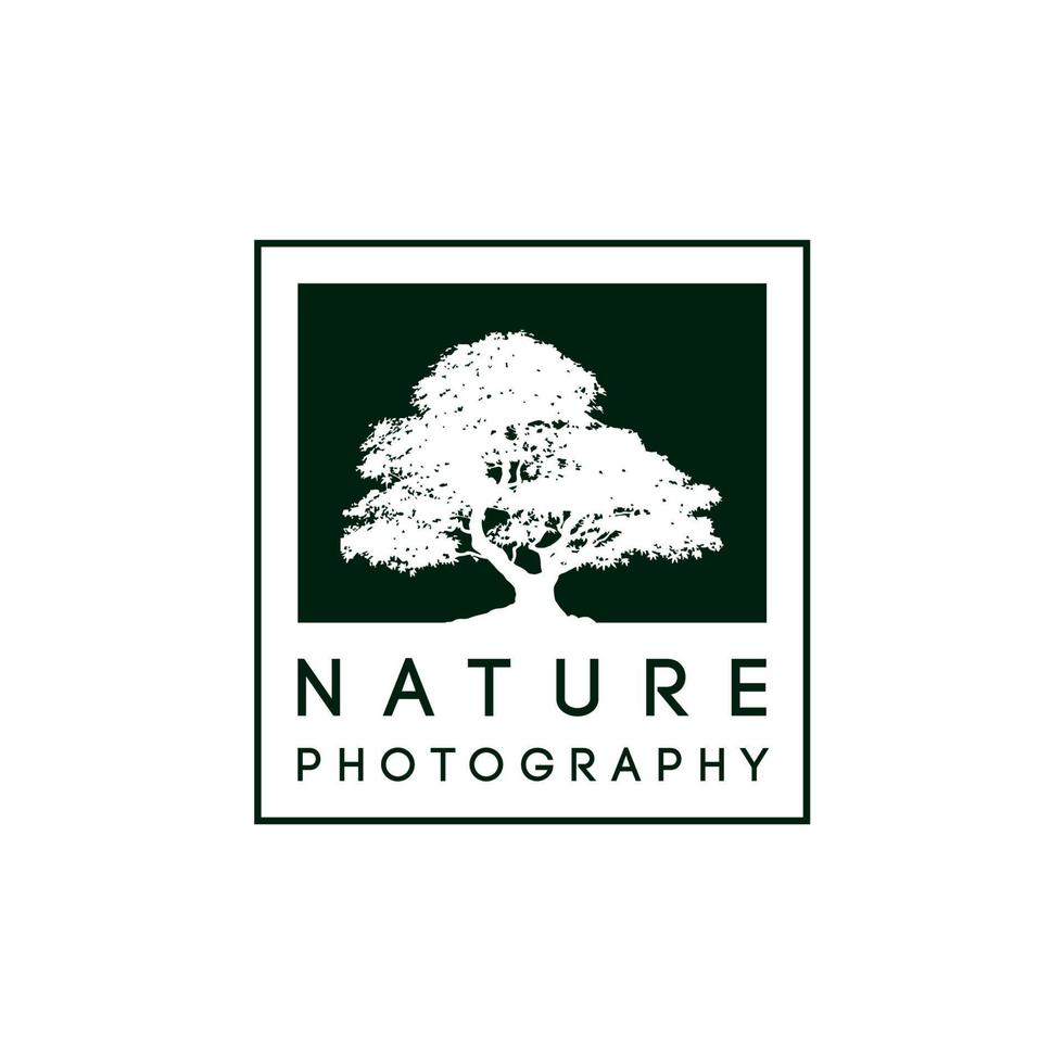 vecchio grande albero silhouette in cornice per foto d'epoca per la fotografia naturalistica logo disegno vettoriale