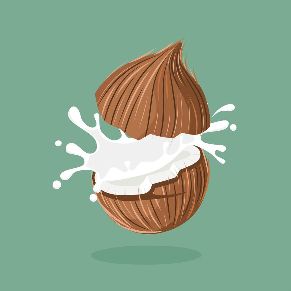 illustrazione vettoriale, schizzi di latte di cocco, design di elementi per l'imballaggio, pubblicità. vettore