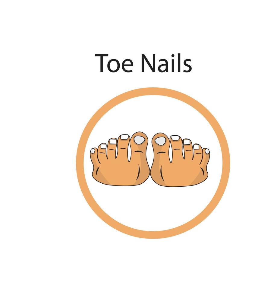 illustrazione dell'icona delle unghie dei piedi vettore