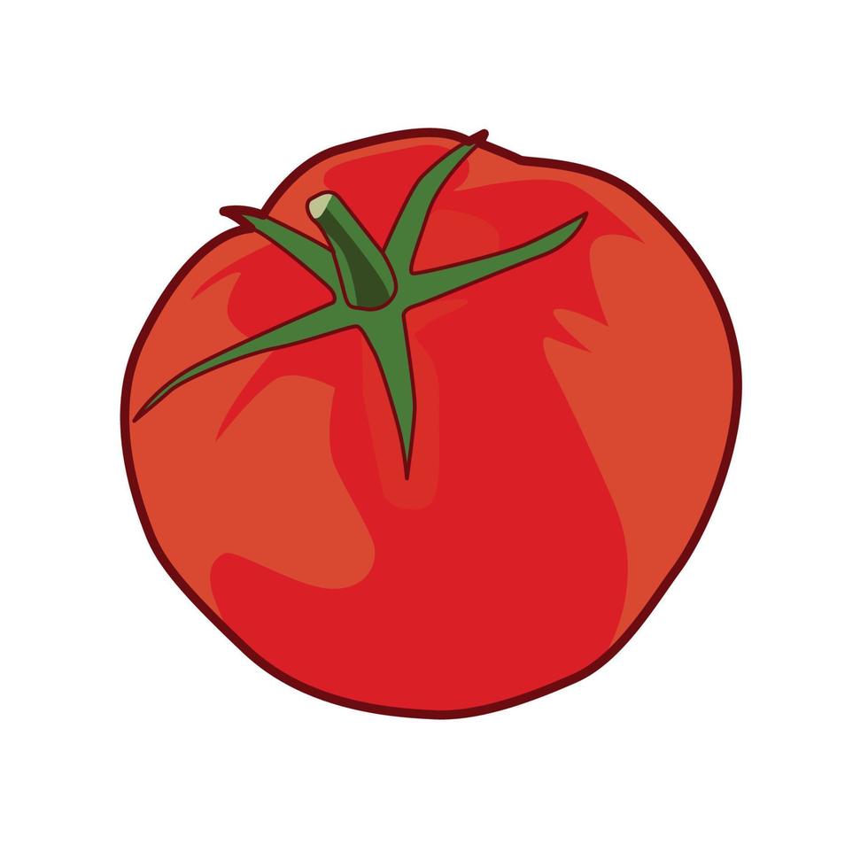 disegno vettoriale dell'illustrazione della frutta del pomodoro rosso