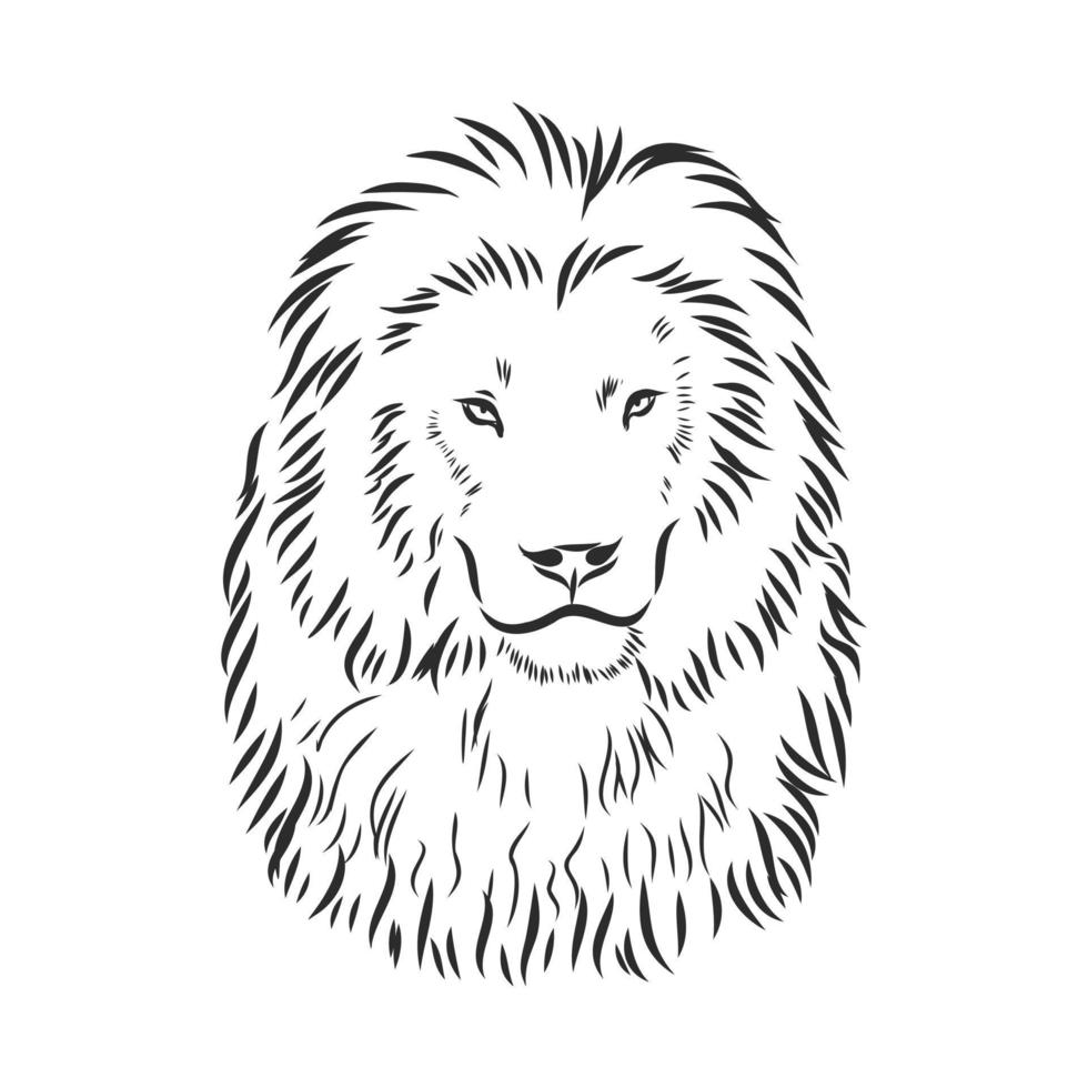 schizzo di vettore animale leone