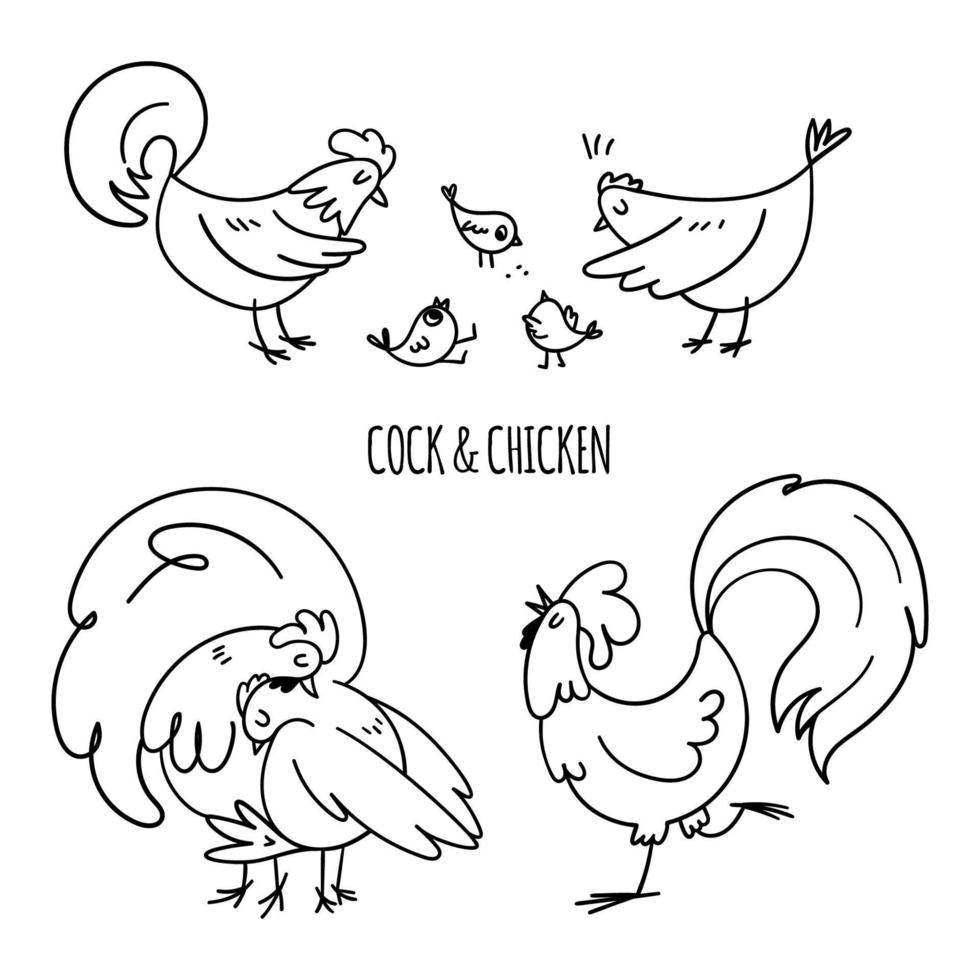 set di gallo e gallina domestici disegnati a mano. famiglia di pollo carino disegnato con piccoli polli isolati su sfondo bianco. illustrazione vettoriale di stock di uccelli del villaggio.