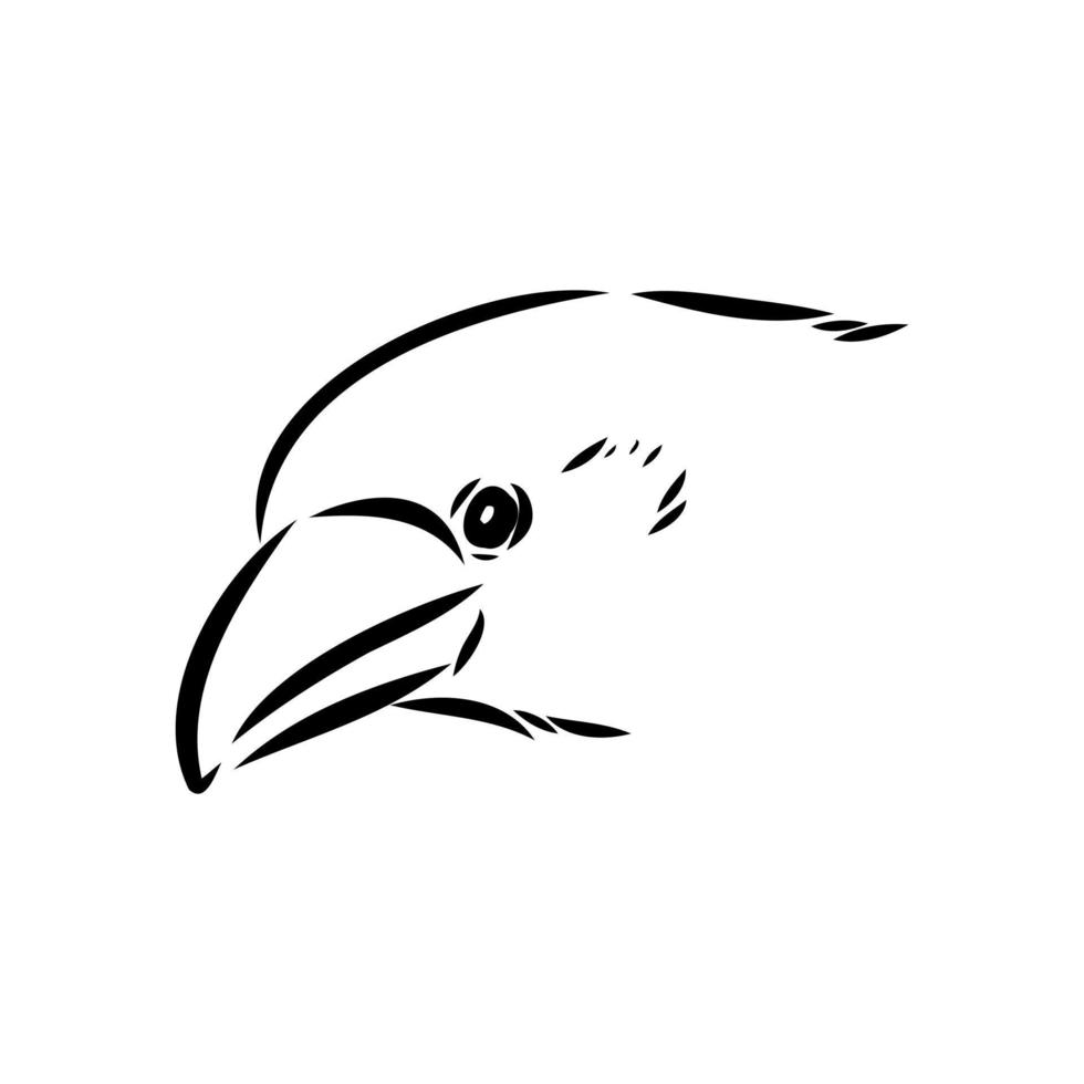 schizzo di vettore del corvo