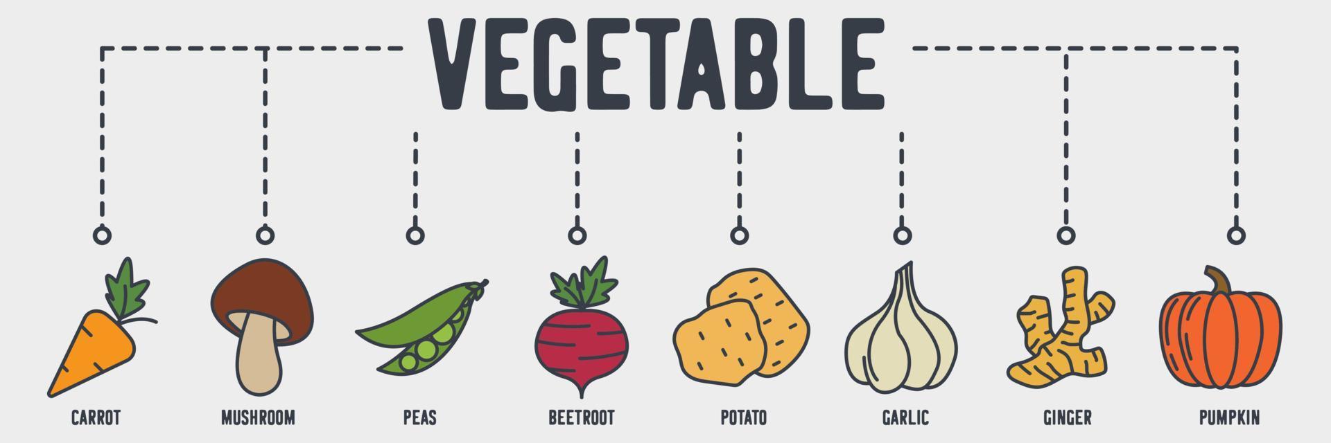 icona web banner vegetale vegetariano. concetto di illustrazione vettoriale di carote, funghi, piselli, barbabietole, patate, aglio, zenzero, zucca.