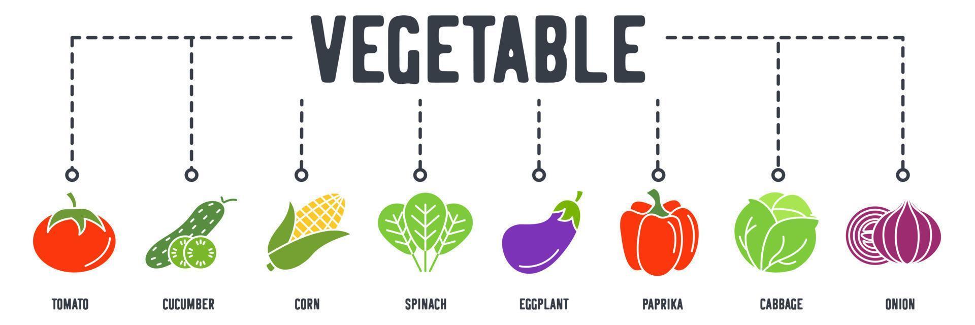 icona web banner vegetale vegetariano. concetto di illustrazione vettoriale pomodoro, cetriolo, mais, spinaci, melanzane, paprika, cavolo, cipolla.