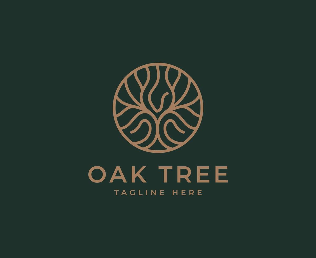 icona vettore albero di quercia. natura alberi illustrazione vettoriale logo design