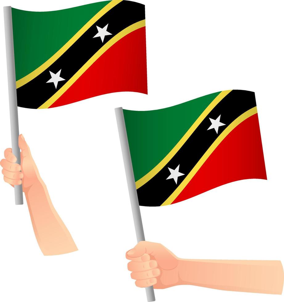 Saint Kitts e Nevis bandiera in mano icona vettore
