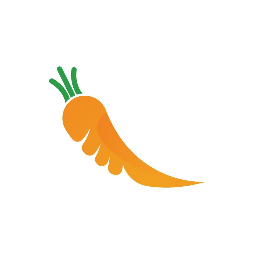 vettore di logo di carota