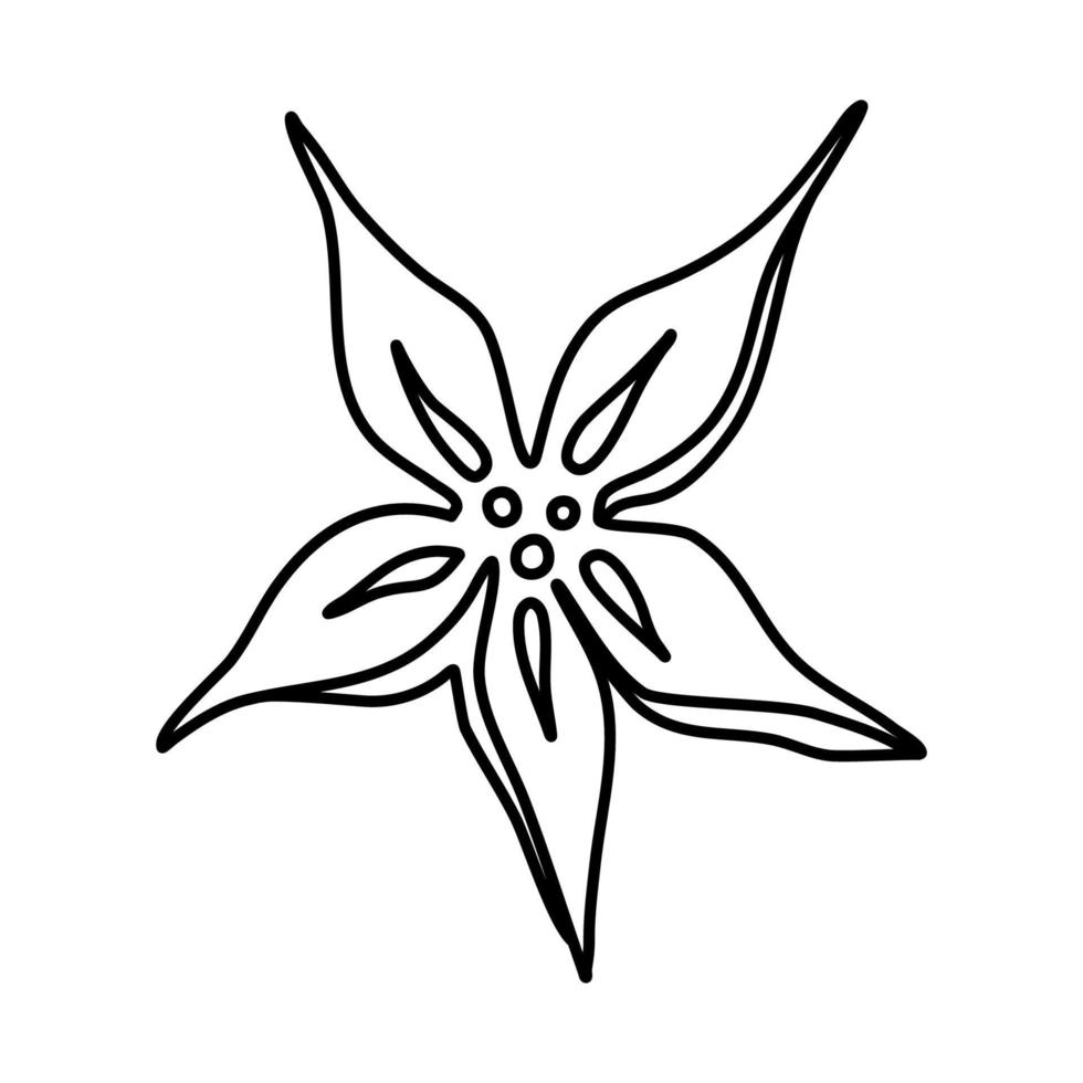 fiore a cinque petali. disegno di doodle di vettore. vettore