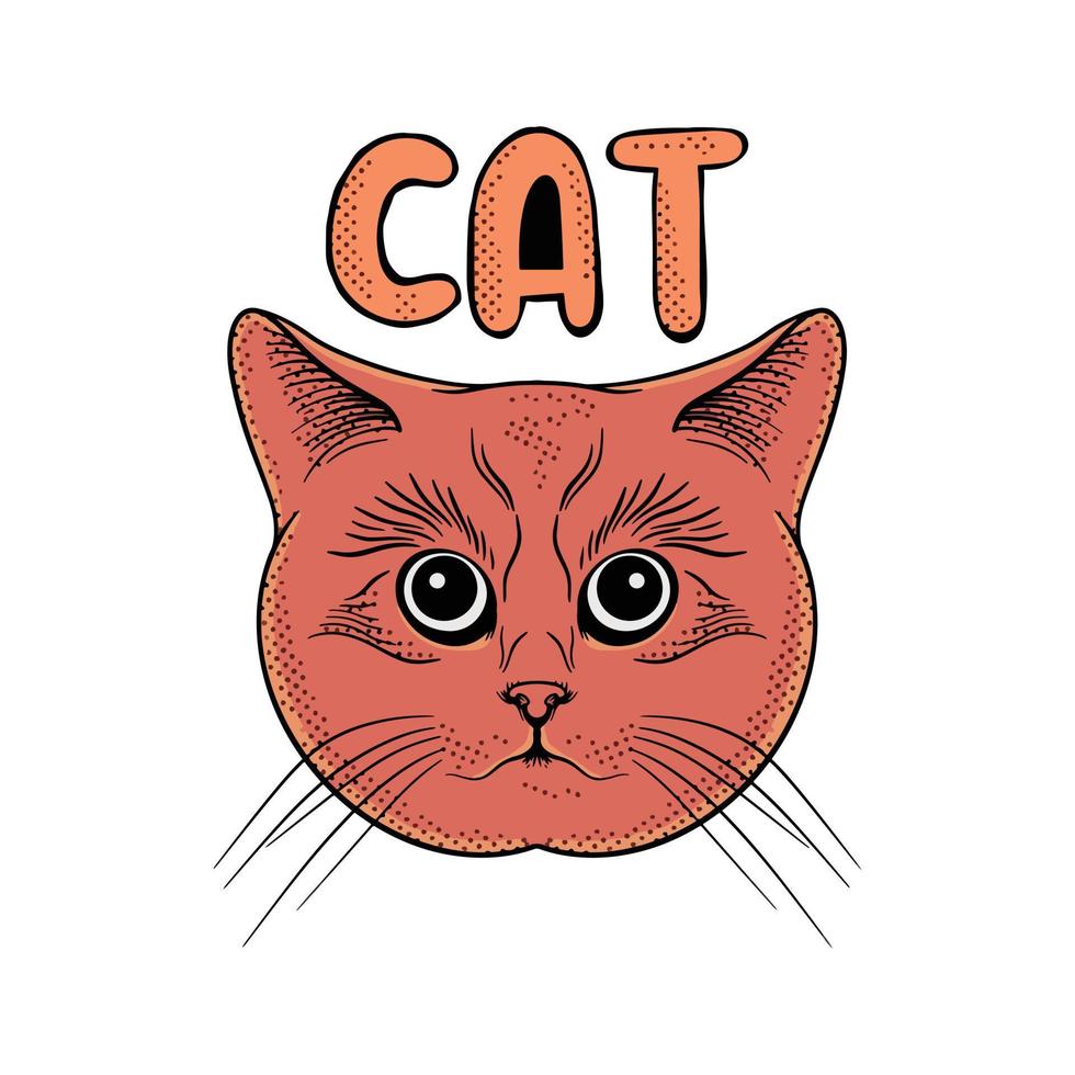 illustrazione di doodle di gatto vintage colorato per design di t-shirt poster tatuaggio adesivo ecc vettore