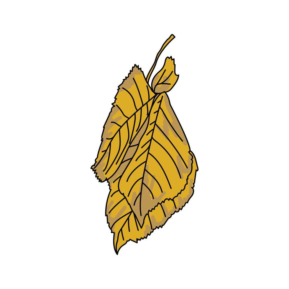 foglie autunnali gialle con macchie marroni, oggetto di caduta della natura, illustrazione vettoriale del disegno a mano