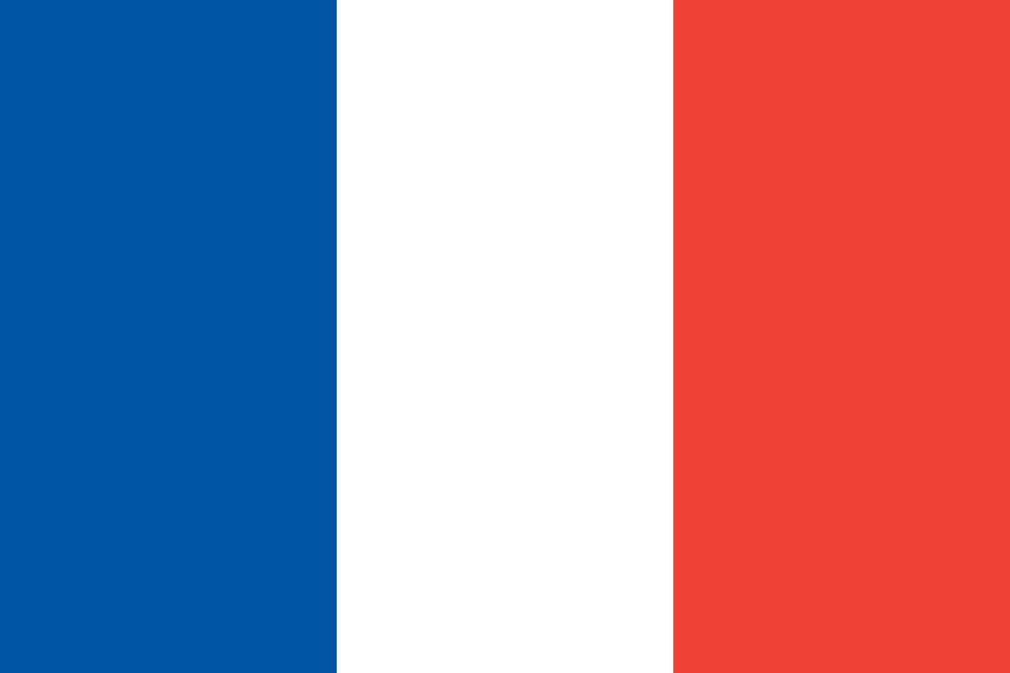 illustrazione piatta della bandiera della Francia vettore