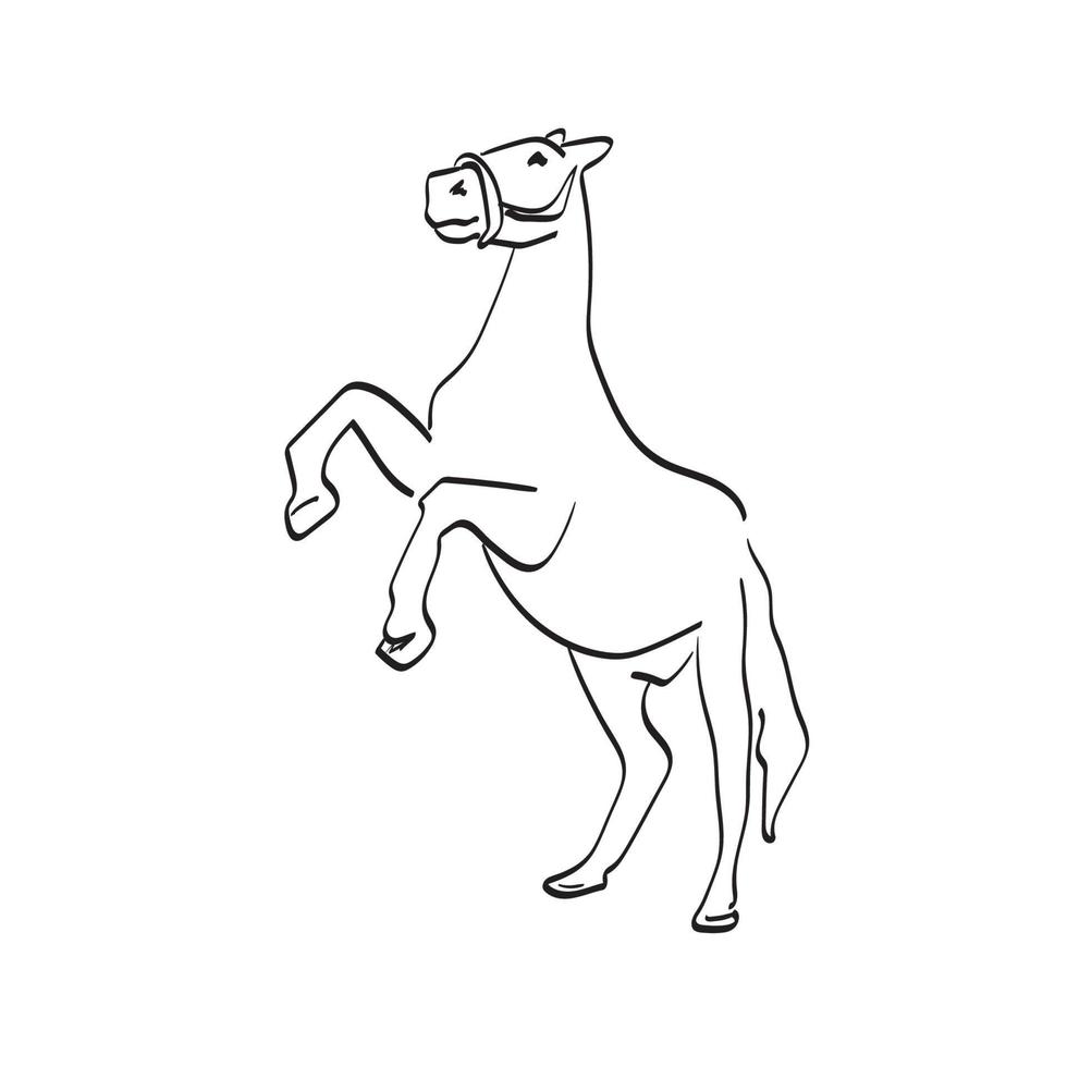 due gambe cavallo illustrazione vettore disegnato a mano isolato su sfondo bianco linea art.