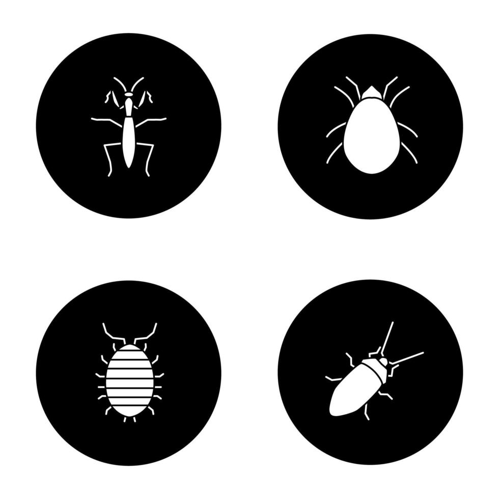 set di icone del glifo di insetti. mantide, scarafaggio, woodlice, acaro. illustrazioni di sagome bianche vettoriali in cerchi neri