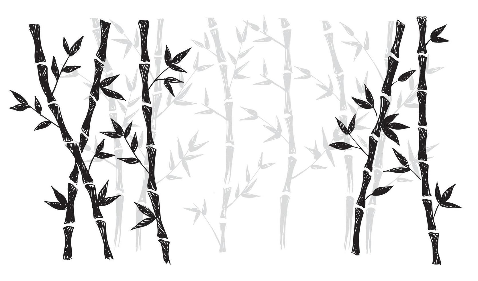 albero di bambù. stile disegnato a mano. illustrazioni vettoriali. vettore