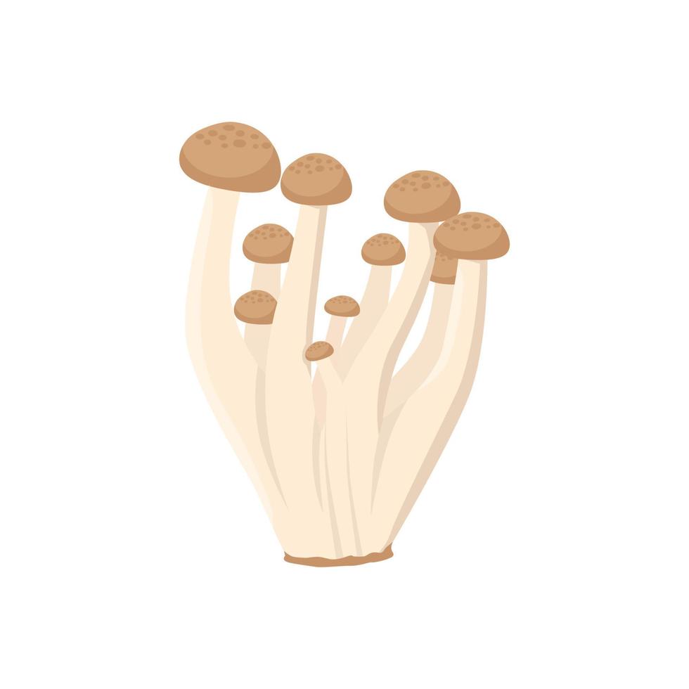 vettore piatto di fungo shimeji isolato su sfondo bianco. icona grafica illustrazione piatta