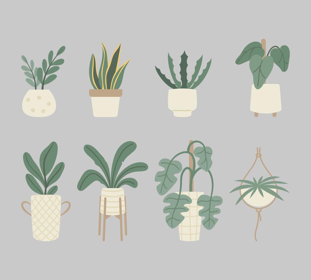 collezione piatta vettoriale di piante d'appartamento