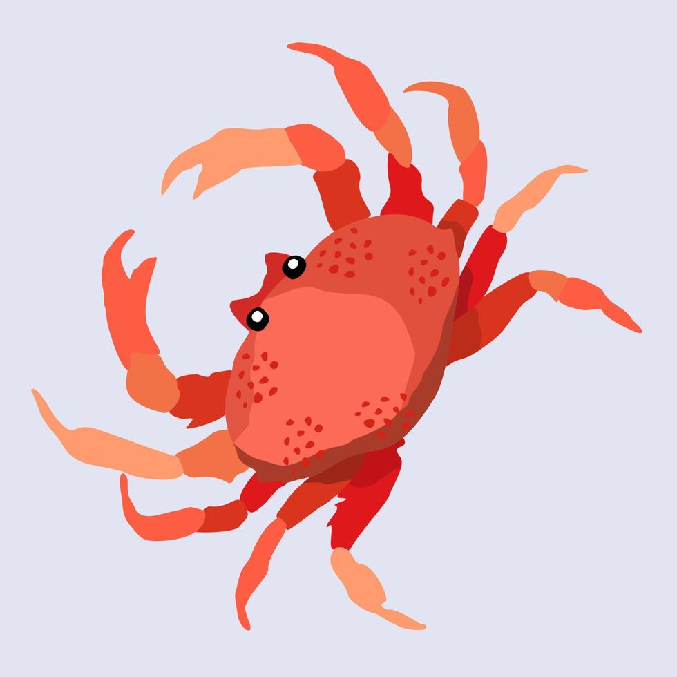 illustrazione vettoriale di granchio rosso. animale marino esotico.