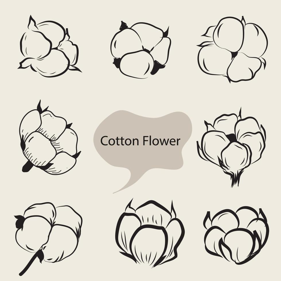 illustrazione disegnata a mano di fiori di cotone vettore