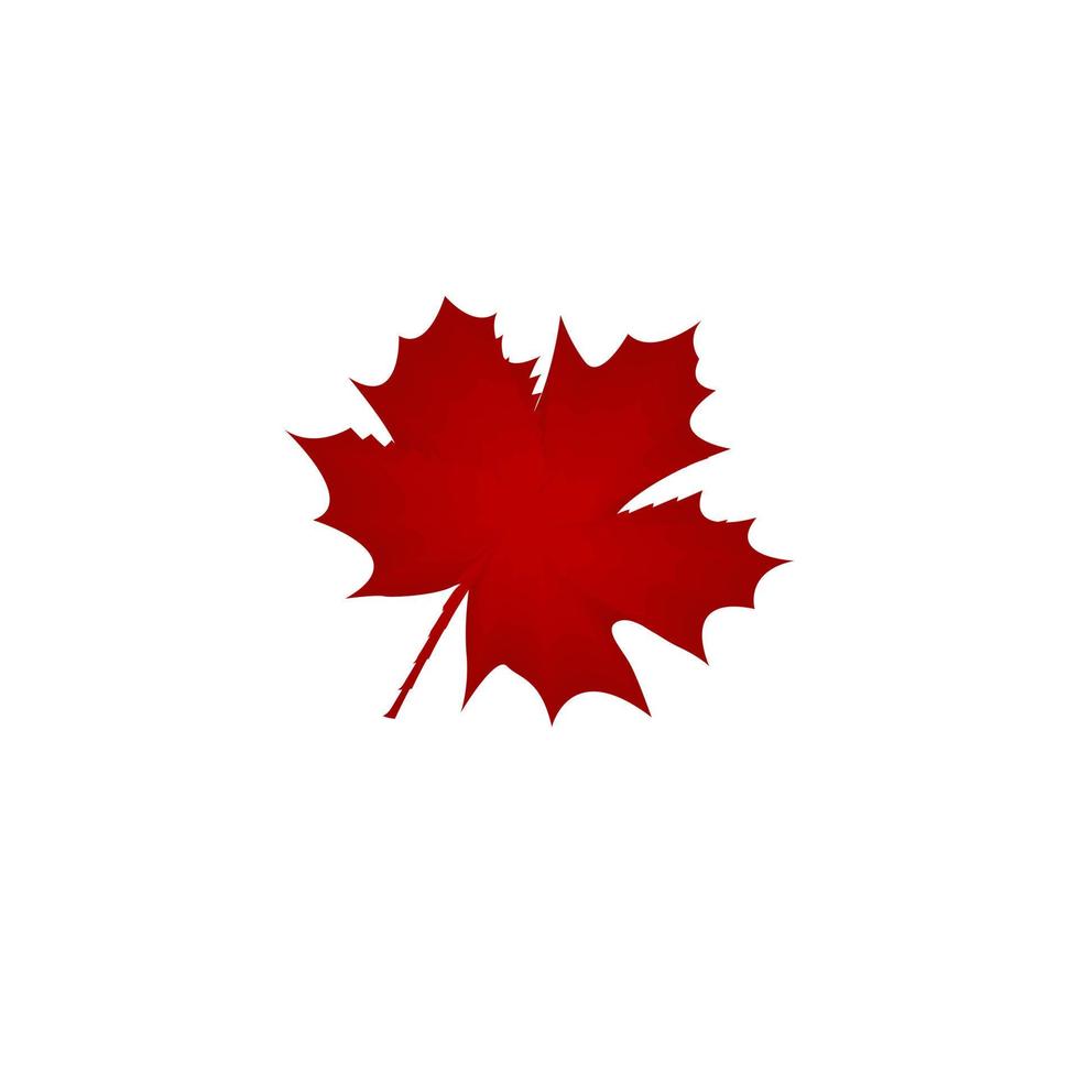 foglie d'acero rosse su sfondo bianco utilizzate nel design di icone e loghi vettore