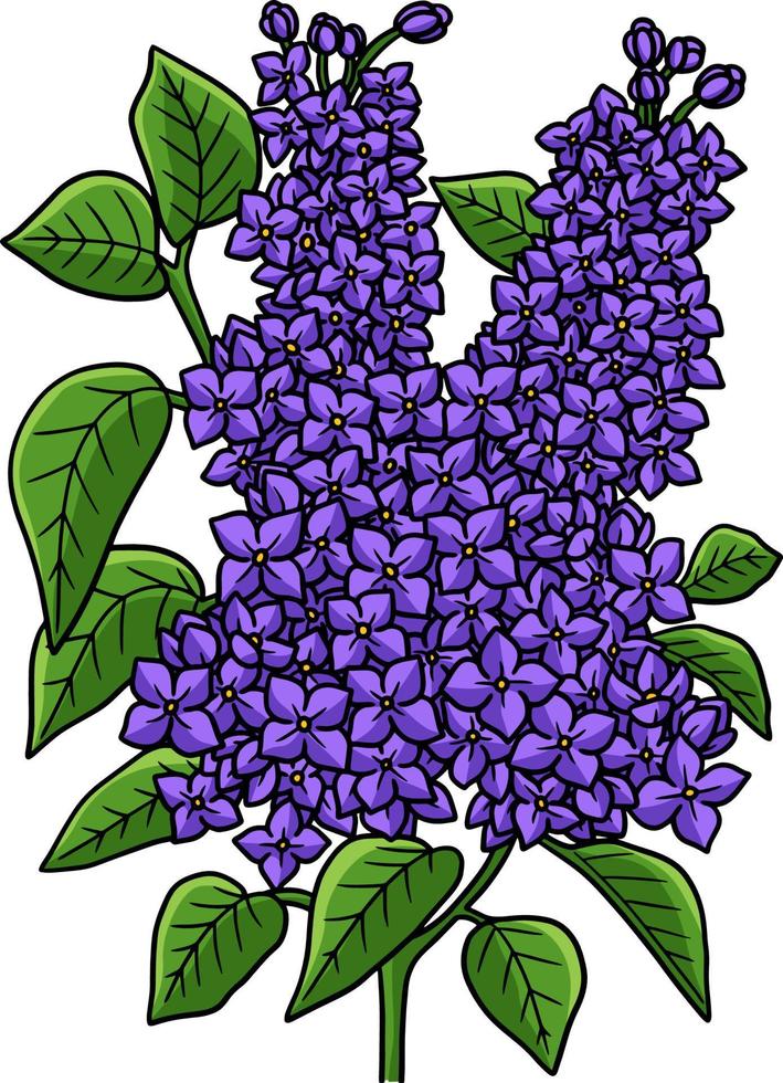 illustrazione clipart colorata del fumetto del fiore lilla vettore