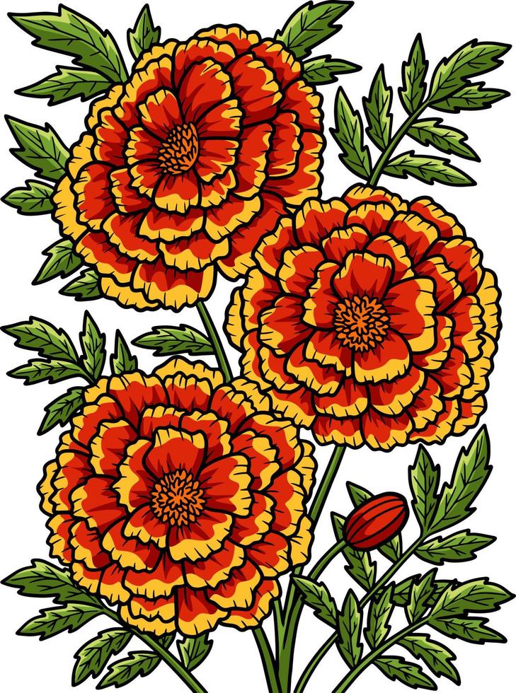 clipart colorate del fumetto del fiore di calendula vettore