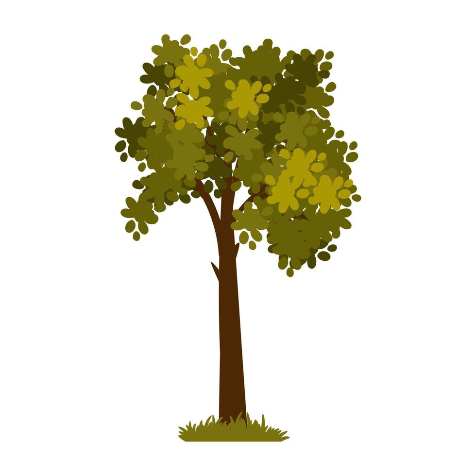 albero di cartone animato verde isolato su uno sfondo bianco. elemento vettoriale per il paesaggio primaverile o estivo.