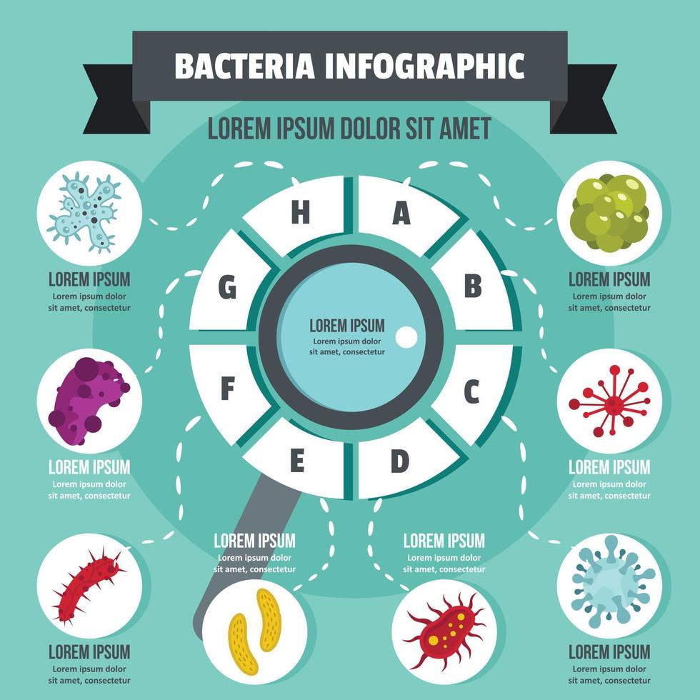 concetto di batteri infografica, stile piatto vettore