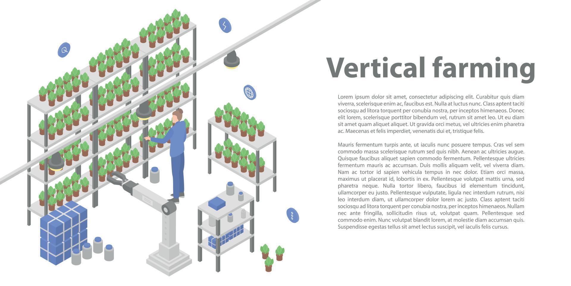 banner di concetto di agricoltura verticale, stile isometrico vettore