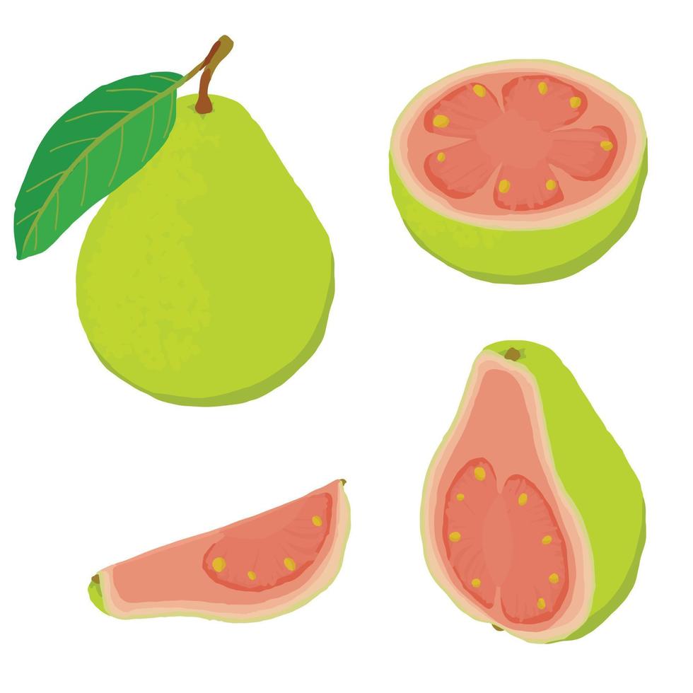 guava set di icone, stile isometrico vettore